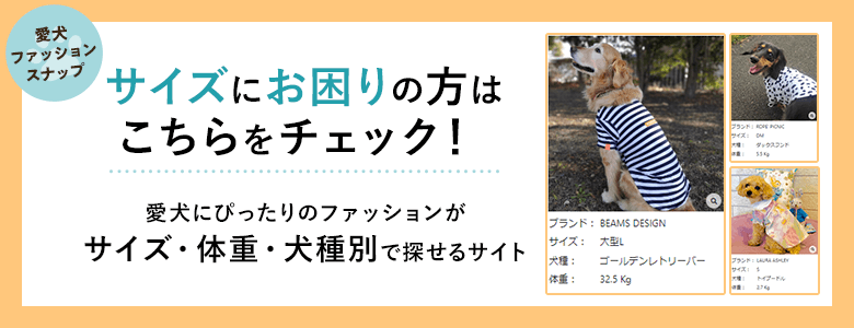 ファッション図鑑