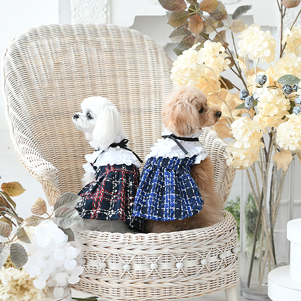 【パピー・超小型犬用】ANNA SUI（アナ スイ）ツイードワンピース